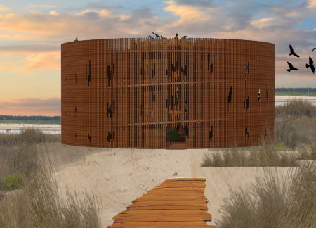 Elevated Observation Deck Crafted From Cross-Laminated Timber Panels Nestled Within a Vibrant Wetland Habitat