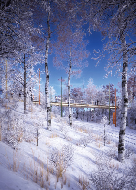 Suspended Timber Crossing Integrating Glulam and Steel Amidst Natural Surroundings