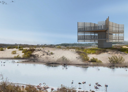 Elevated Viewing Platform Crafted with Timber Fins Overlooking Sensitive Wetland Ecosystem