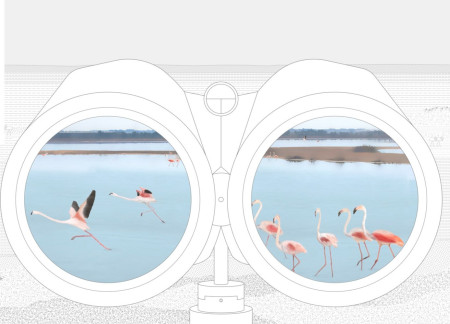 Binocular-Equipped Pathway of Light-Colored Concrete Enhancing Ecological Engagement
