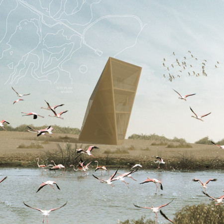 Mesh Skin Structure Built with Best Fibre and Natural Rope for Observing Wetland Wildlife  