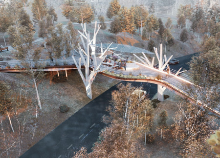 Organic Forms and Sustainable Steel Integration in a Nature-Connected Footbridge  