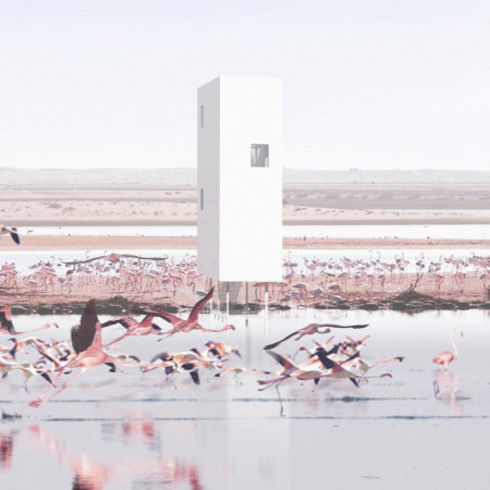 Elevated Steel Framing and Aluminum Cladding in a Bird Observation Tower  
