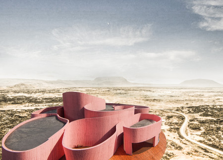 Curvilinear Forms Embracing Raw Earth and Vertical Wood in a Community Hub  