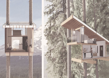 Tree-Supported Dwelling Crafted from Cedar and Plywood in a Forested Setting