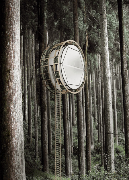 Bamboo Cladding and Polycarbonate Panels Create A Flexible Microhome in A Forested Setting