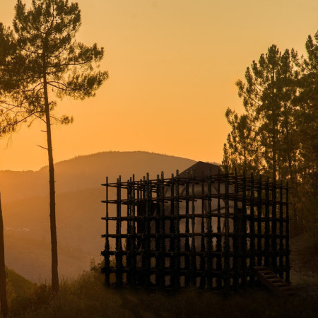 Biophilic Retreat Crafted From Sustainable Pine Wood and Expansive Glass Elements  