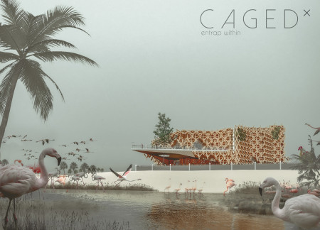 Charred Wooden Shingles and Geometric Design Shape a Sustainable Observation Space in Wetland Habitat