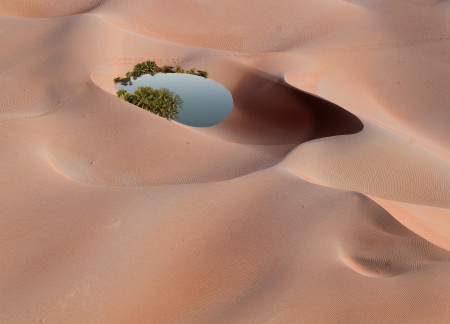 Biodegradable Wood Lodges Blending Curved Forms With Natural Desert Surroundings