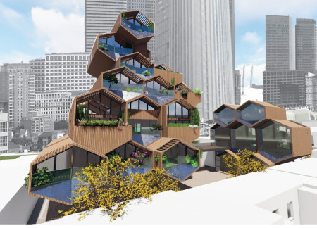 Honeycomb Housing Crafted with Charred Wooden Shingles and Cross-Laminated Timber Panels