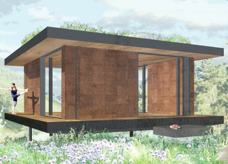 Cork Insulated Residence Featuring Modular Cross-Laminated Timber Panels in Brazil  