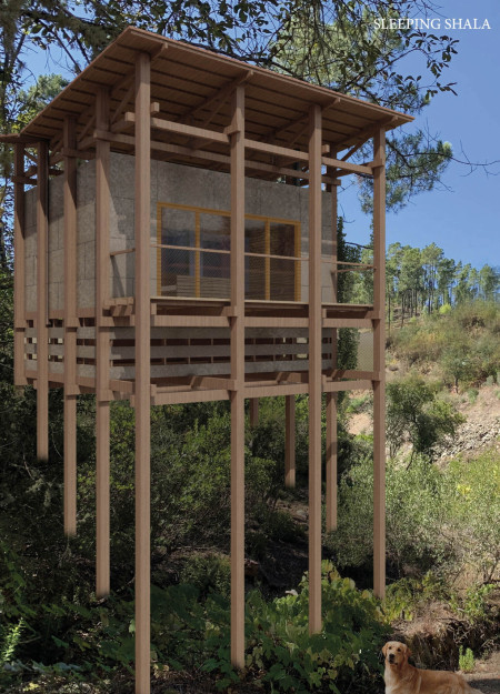 Charred Wooden Shingles and Cross-Laminated Timber Create a Sustainable Urban Hub