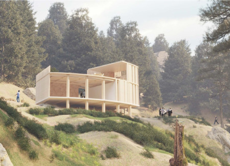 Curvilinear Pavilion with Natural Light and Timber Lattice for Community Wellness
