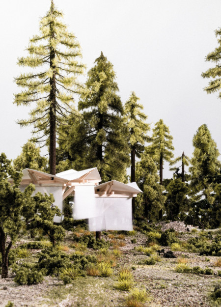 Hanging Canopy of Cross-Laminated Timber Panels within a Forest Canopy  