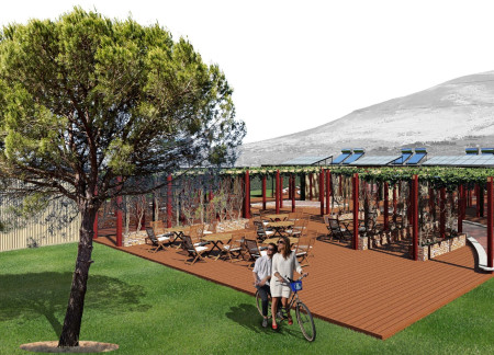 Curvilinear Pool with Charred Shingles and Cross-Laminated Timber in Vineyard Guest Homes