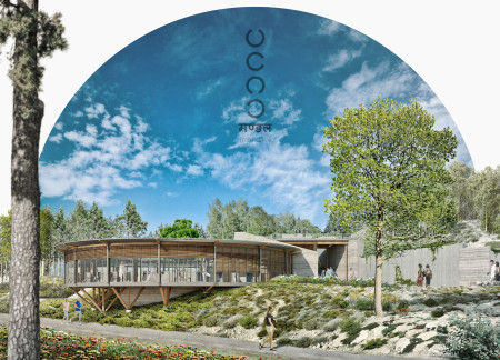 Cross-Laminated Timber Harmony Nestled Within a Cliffside Sanctuary  