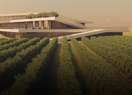 Sustainable Design With Local Stone and Green Roofs in A Vineyard Retreat