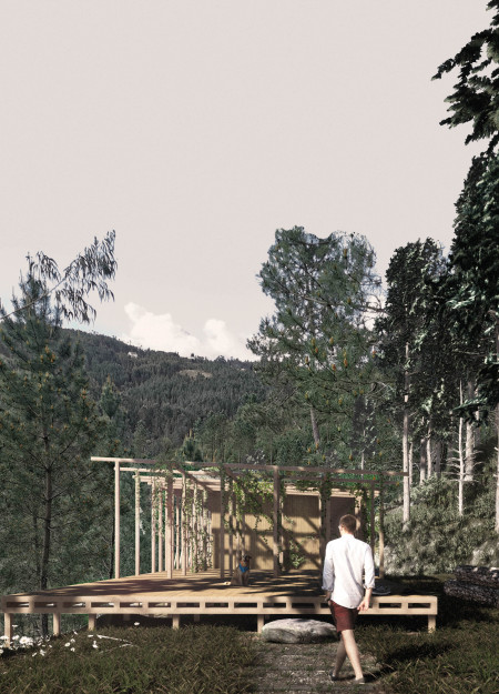 Cork and Timber Sanctuary Blending with Nature for Holistic Wellness