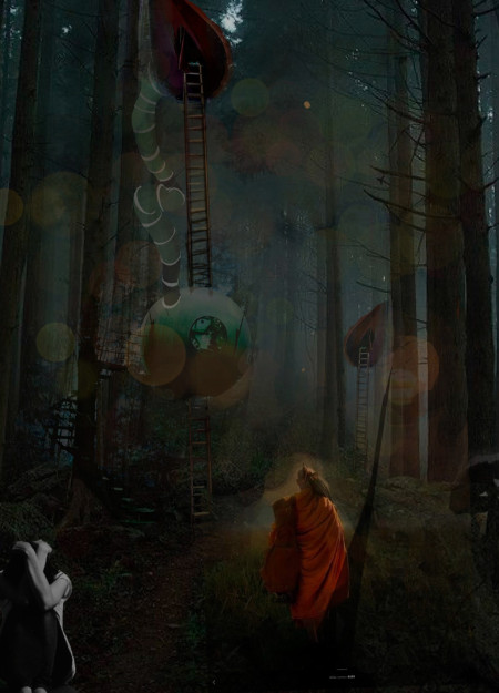Compostable Materials and Solar Integration in a Reflective Journey Through Aokigahara  
