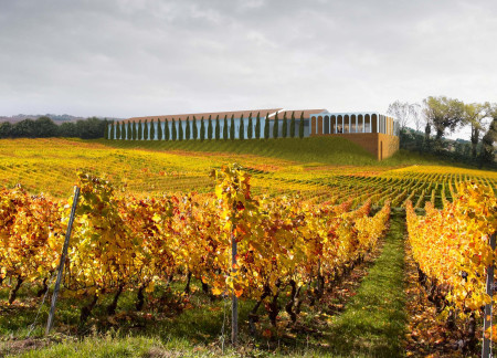 Earthen Adobe Walls and Natural Clay Finishes in a Vineyard Tasting Experience