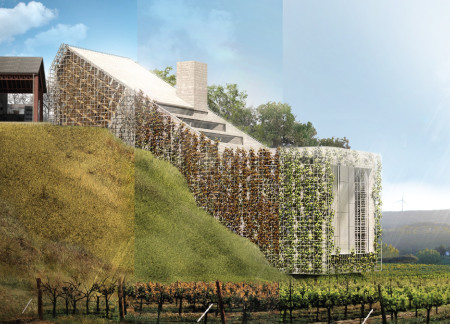 Green Wall Facade Featuring Concrete Structures and Natural Elements in A Vineyard Spa Retreat