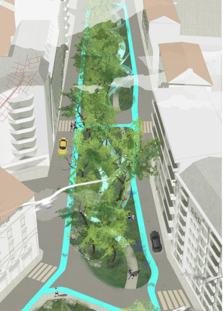 Permeable Pathways Enhanced By Native Vegetation And Natural Stone Integration In Urban Ecosystem