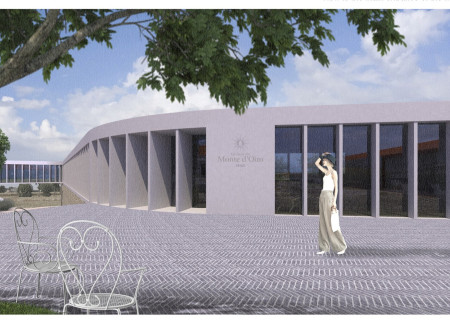 Terraced Design With Natural Stone and Transparent Glass Nestled in a Vineyard Setting