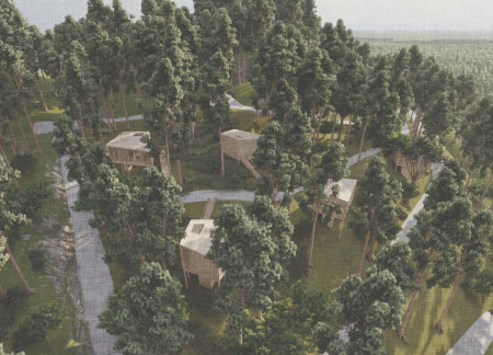 Elevated Serenity in Cork and Cedar With Biophilic Design for Mindful Retreat