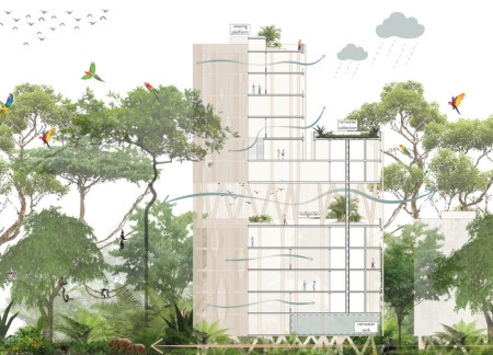 Cross-Laminated Timber Canopy Integrating Learning Spaces Within a Rainforest Environment