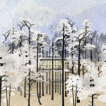 Elevated Timber Framework Merging Glass Transparency with Natural Canopy for Mindful Practice