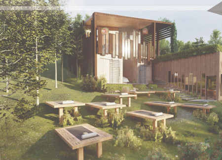 Cork and Wood Sanctuary Embracing Natural Light With Sustainable Design Principles  