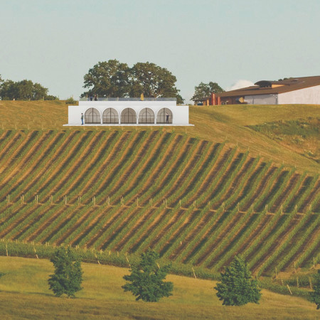 Half-Subterranean Hall Crafted with Natural Stone and Expansive Glass Facades in a Vineyard Setting