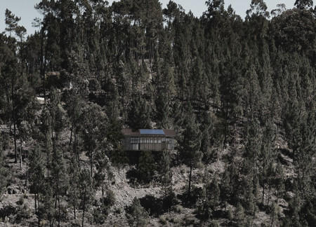 Charred Wooden Shingles and Cross-Laminated Timber in a Community-Centric Space  