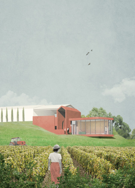 Red Brick and Glass Winery Embracing Vineyard Views with Multi-Sensory Engagement  