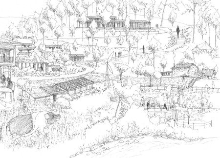 Charred Wooden Shingles and Biophilic Design in a Community Hub