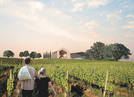 Cork Facade and Natural Light Integration in a Vineyard Community Space  