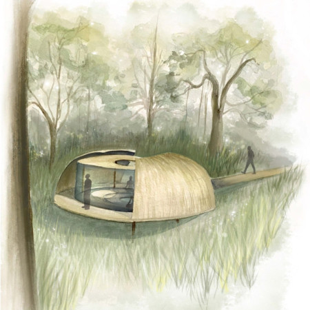 Curved Sonic Glass and Kauri Wood Create a Tranquil Retreat Focused on Introspection