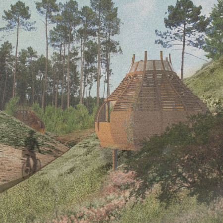 Removable Cork Panels and Eucalyptus Structures Nestled Within a Natural Valley Habitat
