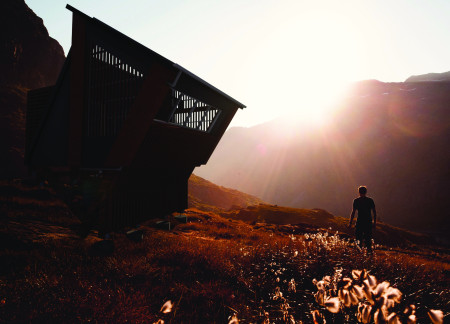 Living Spaces Enhanced by Vertical Gardens and Solar Panels Using Natural Timber Elements  