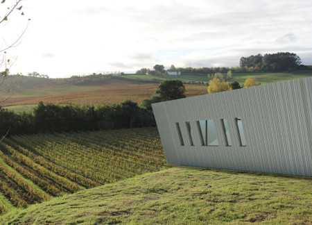 Social Gathering Space Featuring Weathered Timber and Angled Roof Design in a Vineyard Setting  