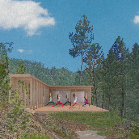 Cross-Laminated Timber Under A Canopy Of Natural Light For Outdoor Yoga Practice