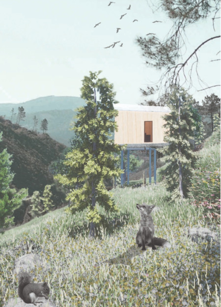 Elevated Forest Pods Crafted from Timber and Solar Panels for a Sustainable Retreat  