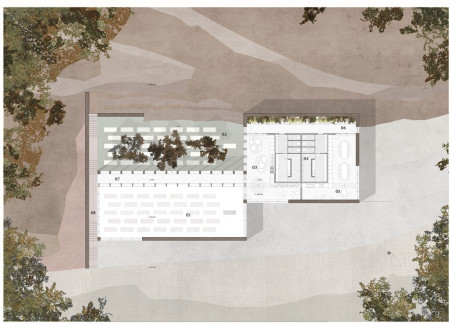 Community hub featuring cross-laminated timber and charred wood shingles for sustainable living