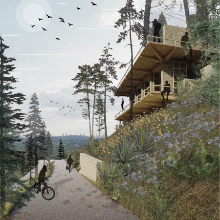 Natural Stone and Timber Retreat Embracing Hillside Serenity Through Sustainable Design  