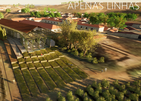 Natural Transparency in Sustainable Design Through Steel and Glass Terracing in a Vineyard Setting