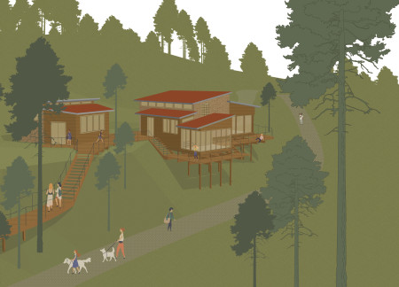 Cross-Laminated Timber Canopy Seamlessly Integrates with Natural Landscape for a Mindful Yoga Studio