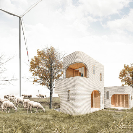 3D Printed Concrete Dwellings Featuring Flexible Timber Framework in Community-Centric Design  
