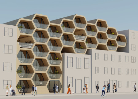 Hexagonal Living Spaces Enhanced by Cross-Laminated Timber and Charred Shingles