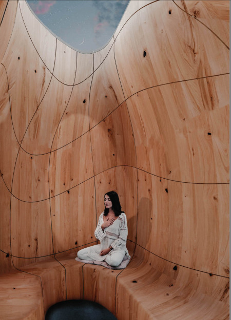 Curved Plywood Structure with Transparent PVC Walls in a Natural Urban Setting