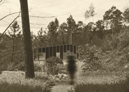 Embracing Natural Light With Cross-Laminated Timber Panels In A Retreat Within the Forest